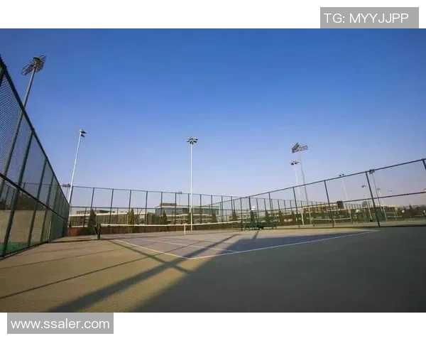 西安网球队意识争议引发热议球员表现与团队精神的深度探讨 西安网球队意识争议引发热议球员表现与团队精神的深度探讨